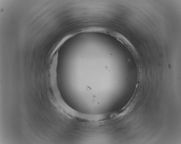 X0000070390860200606231736