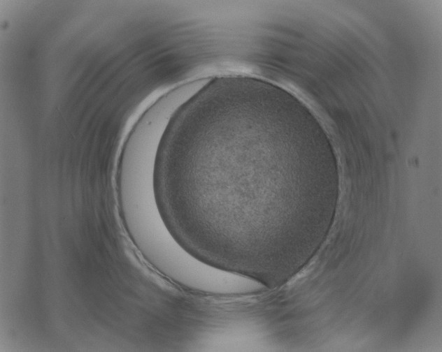 X0000070390864200606231736