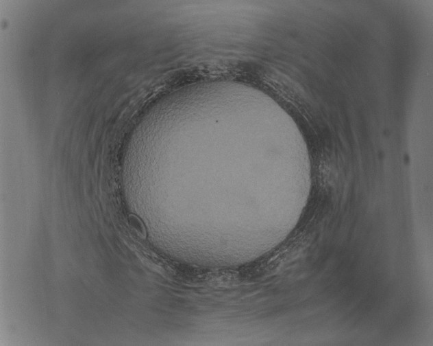 X0000070390865200606231735