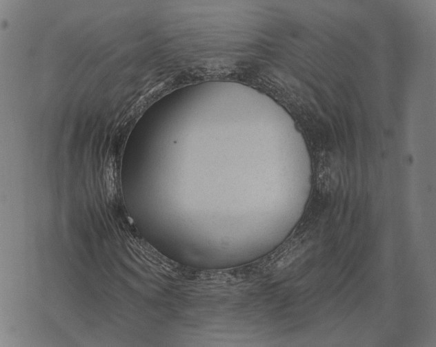 X0000070390866200606231735