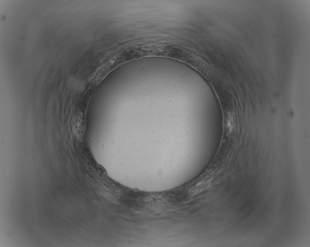 X0000070390867200606231735