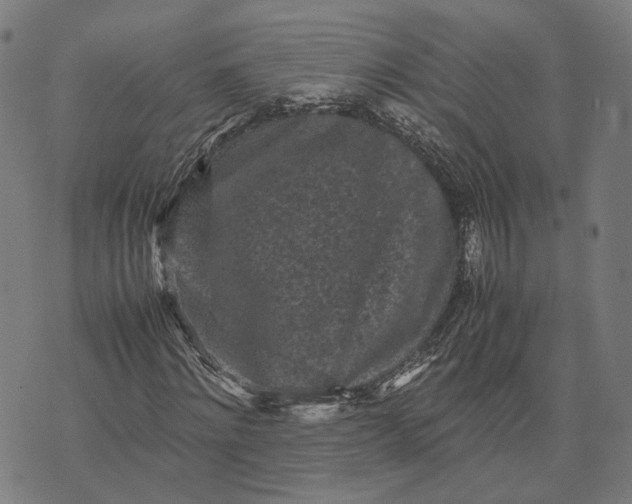 X0000070390868200606231735