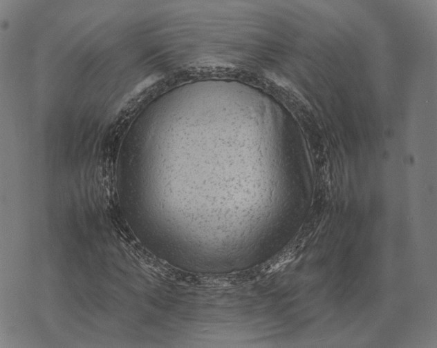 X0000070390870200606231735