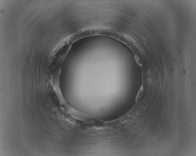 X0000070390872200606231735