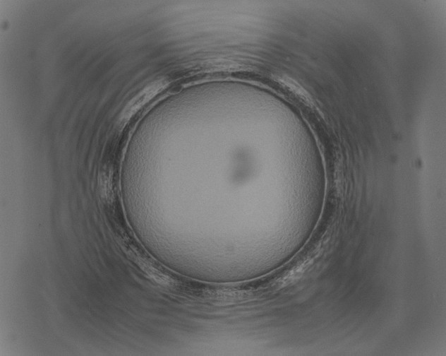 X0000070390873200606231735