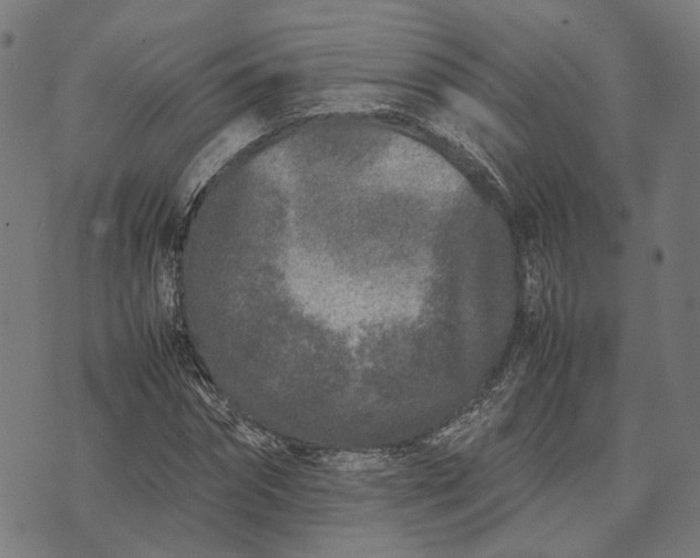 X0000070390874200606231735