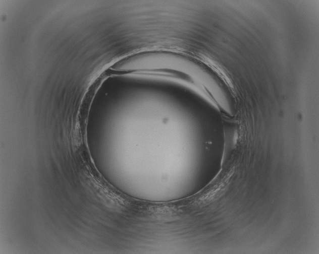 X0000070390876200606231735