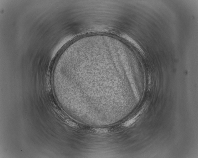 X0000070390878200606231735