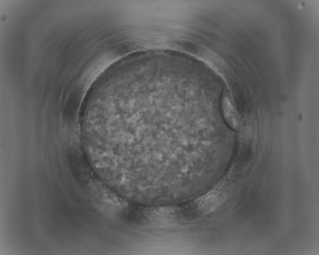 X0000070390879200606231735