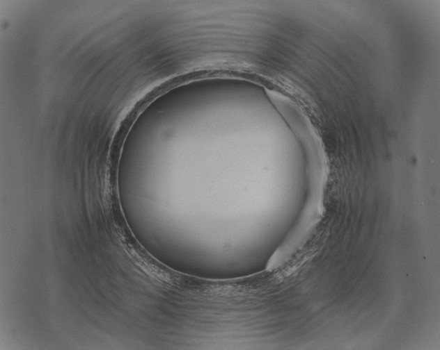 X0000070390880200606231735