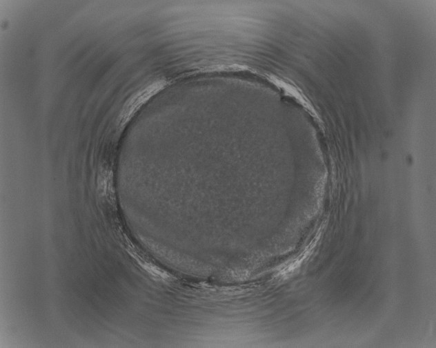 X0000070390881200606231735