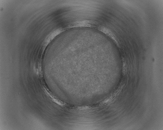 X0000070390882200606231735