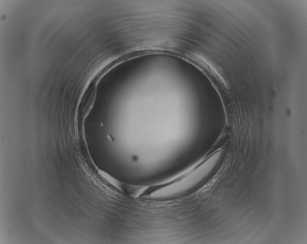 X0000070390884200606231735