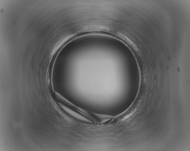 X0000070390885200606231735