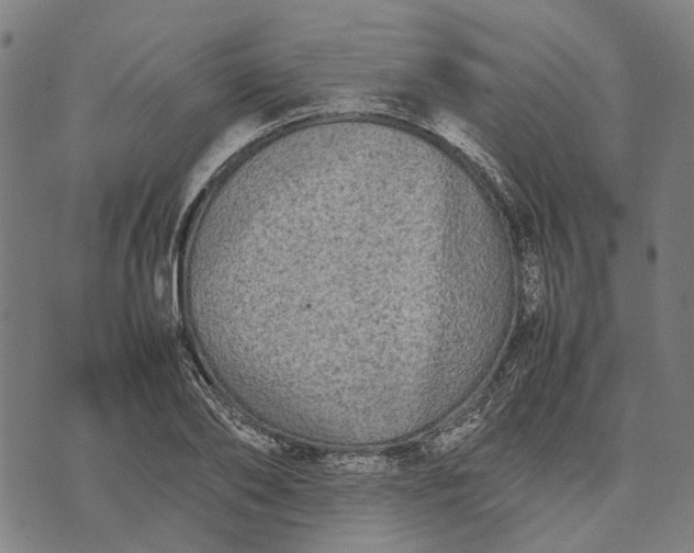 X0000070390886200606231735