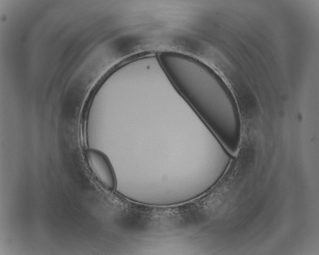 X0000070390887200606231735