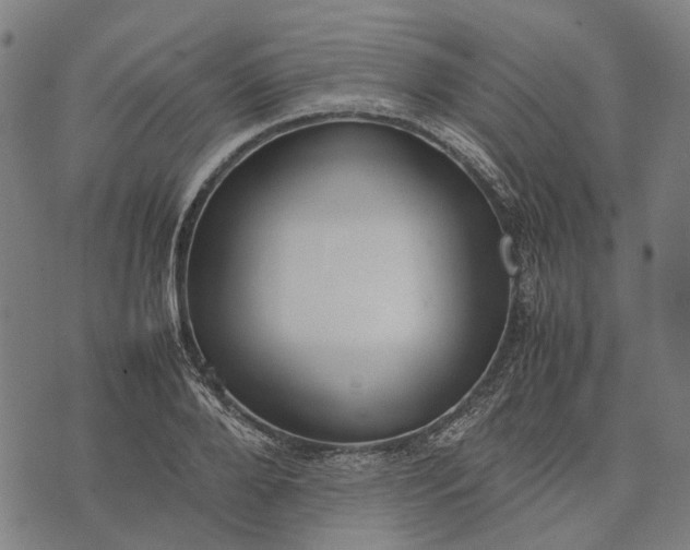 X0000070390888200606231735