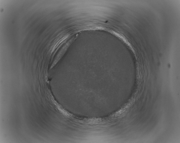 X0000070390889200606231735