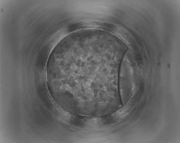 X0000070390891200606231734