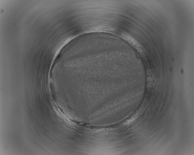 X0000070390892200606231734