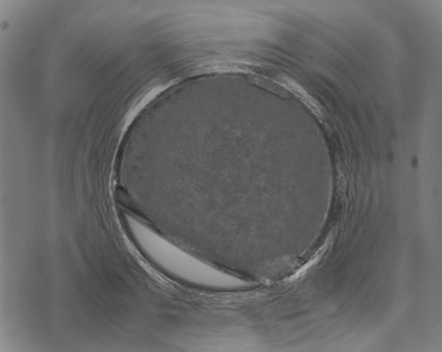 X0000070390893200606231734