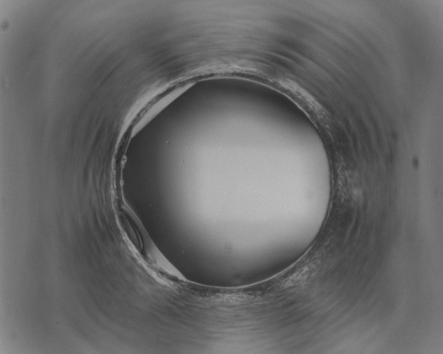 X0000070390894200606231734