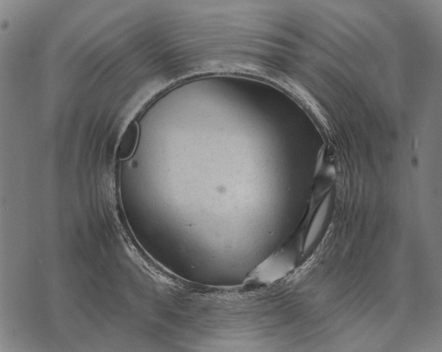 X0000070390896200606231734