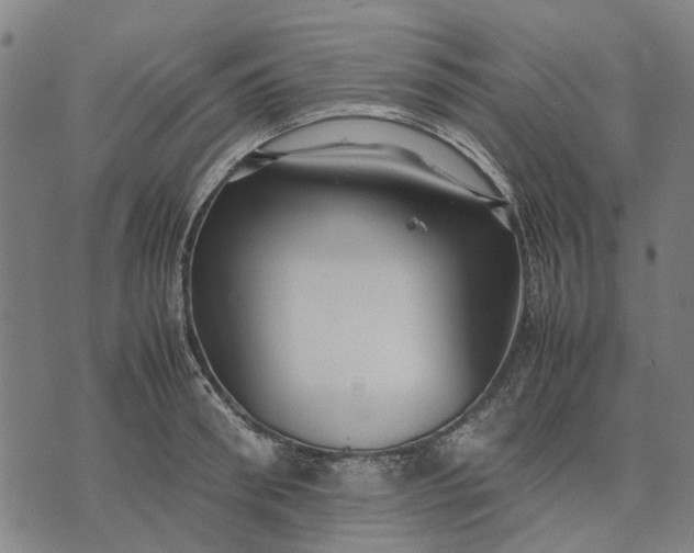 X0000070390898200606231734