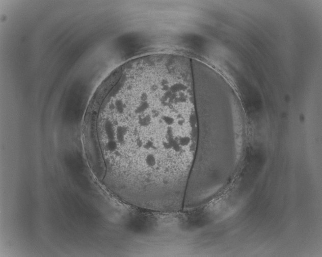 X0000070390899200606231734