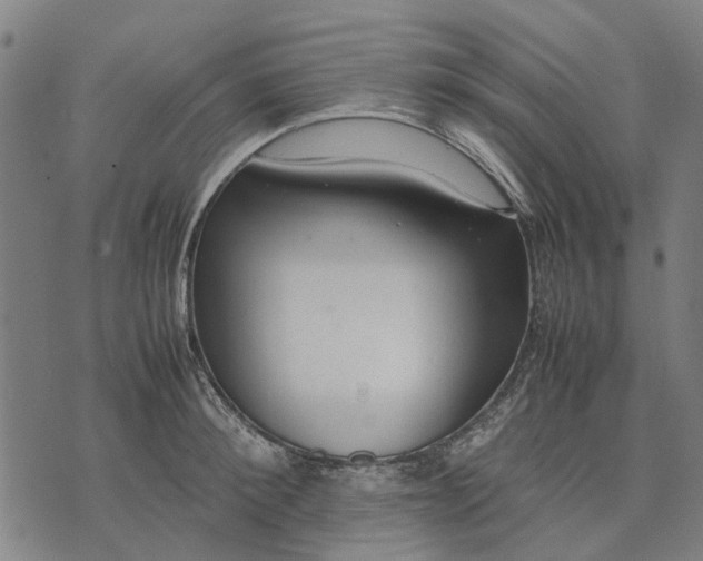 X0000070390900200606231734