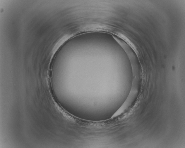 X0000070390901200606231734