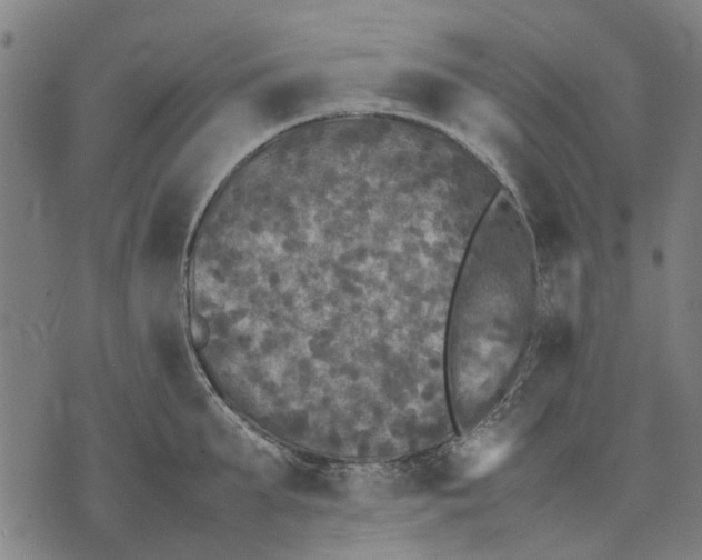 X0000070390903200606231734