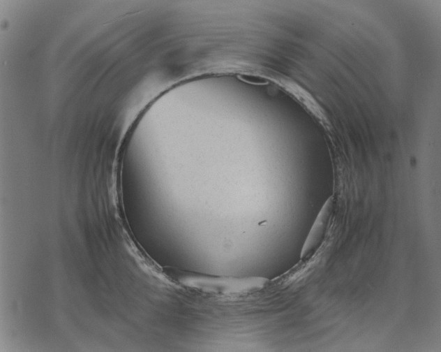 X0000070390904200606231734