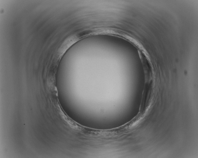 X0000070390905200606231734