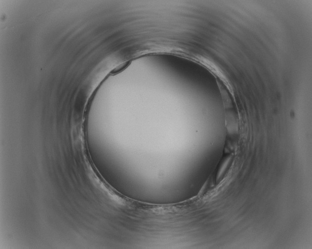 X0000070390906200606231734