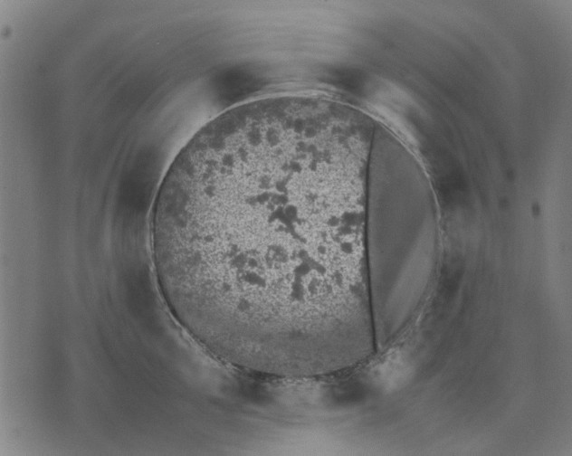 X0000070390907200606231734