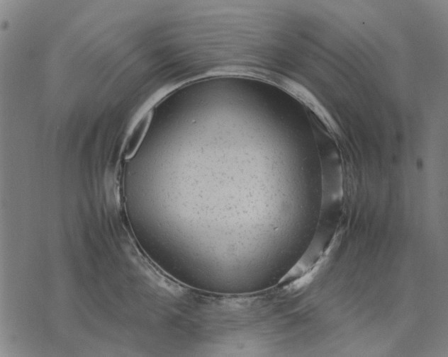 X0000070390908200606231734