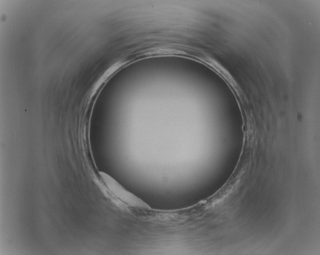 X0000070390909200606231734