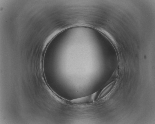 X0000070390910200606231734