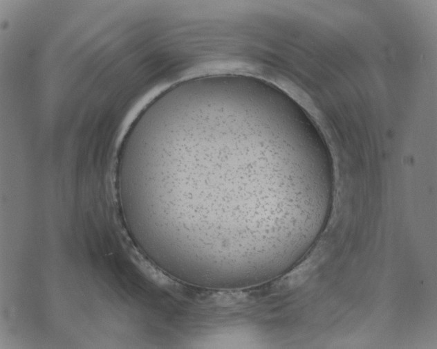 X0000070390912200606231734