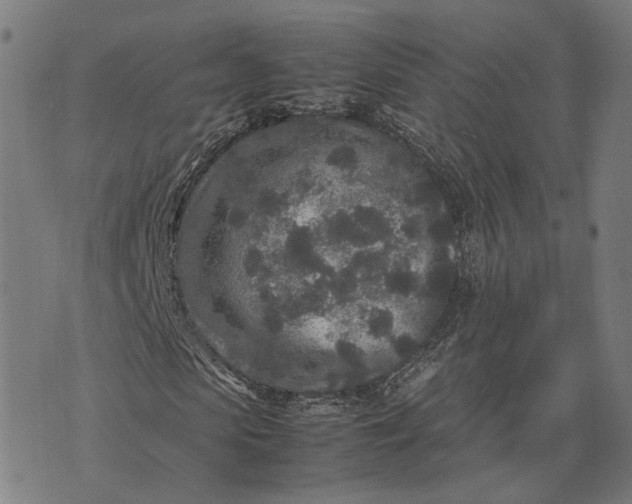 X0000070390913200606231733