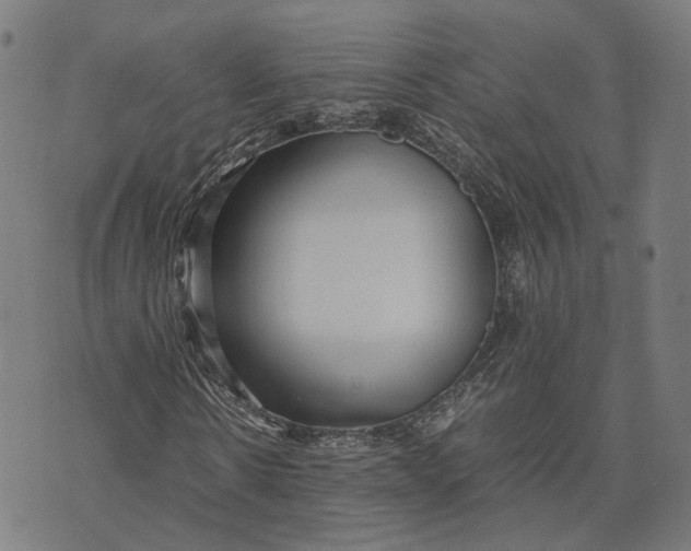 X0000070390914200606231733