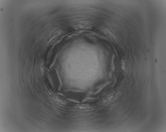 X0000070390915200606231733