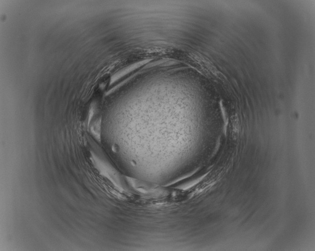 X0000070390916200606231733