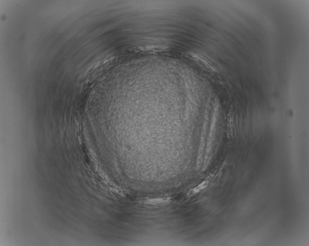 X0000070390917200606231733