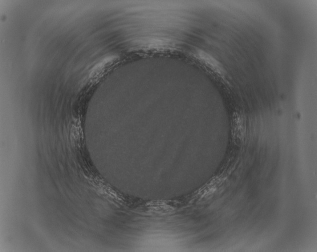 X0000070390918200606231733