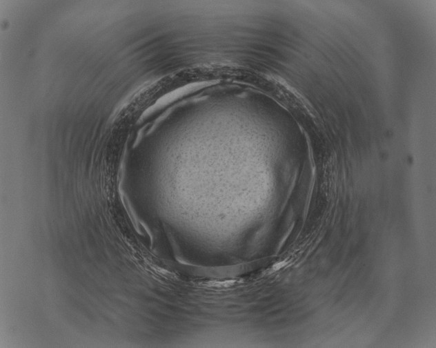 X0000070390919200606231733