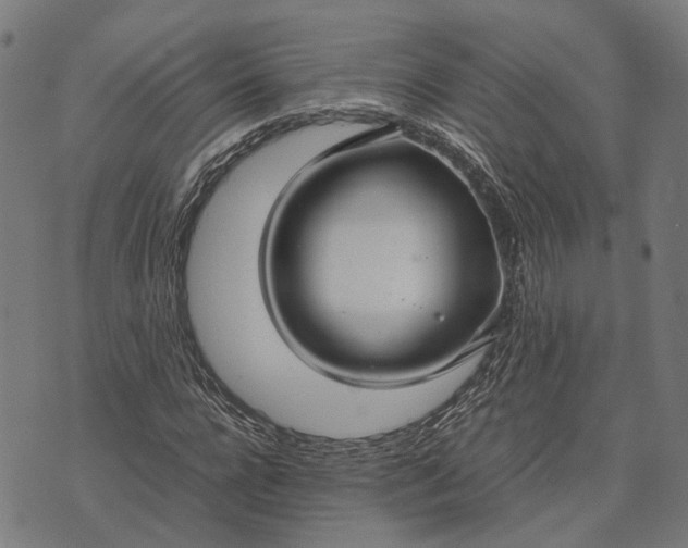 X0000070390920200606231733