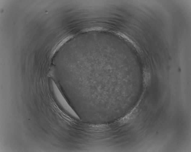 X0000070390921200606231733