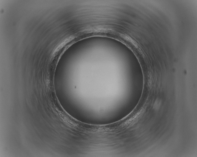 X0000070390922200606231733